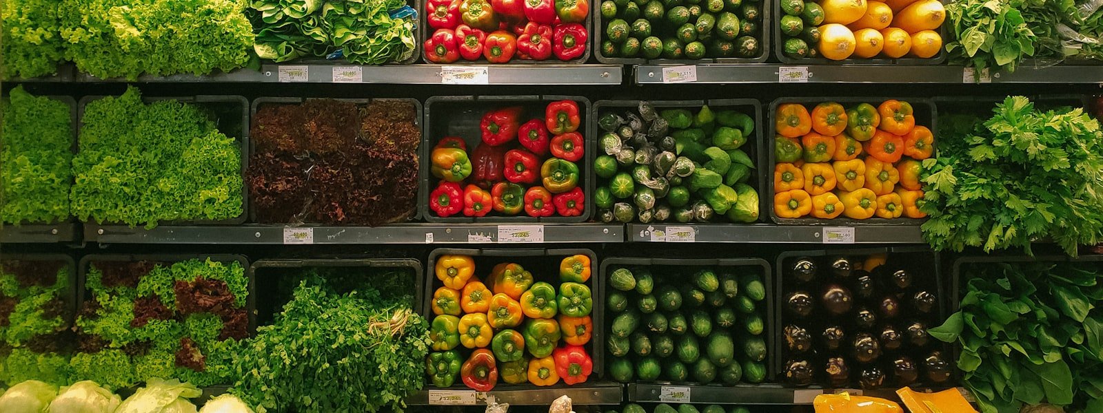 Fresh Grocery Essentials