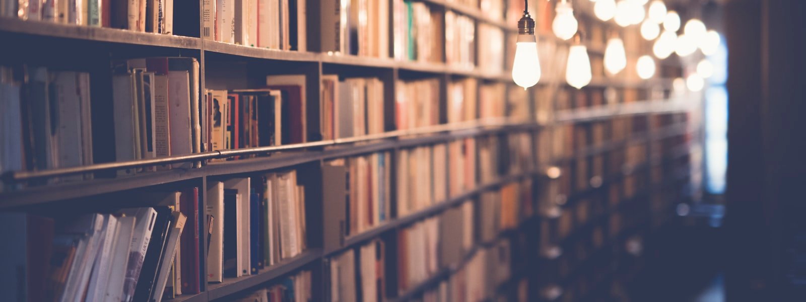 Book Lovers Paradise